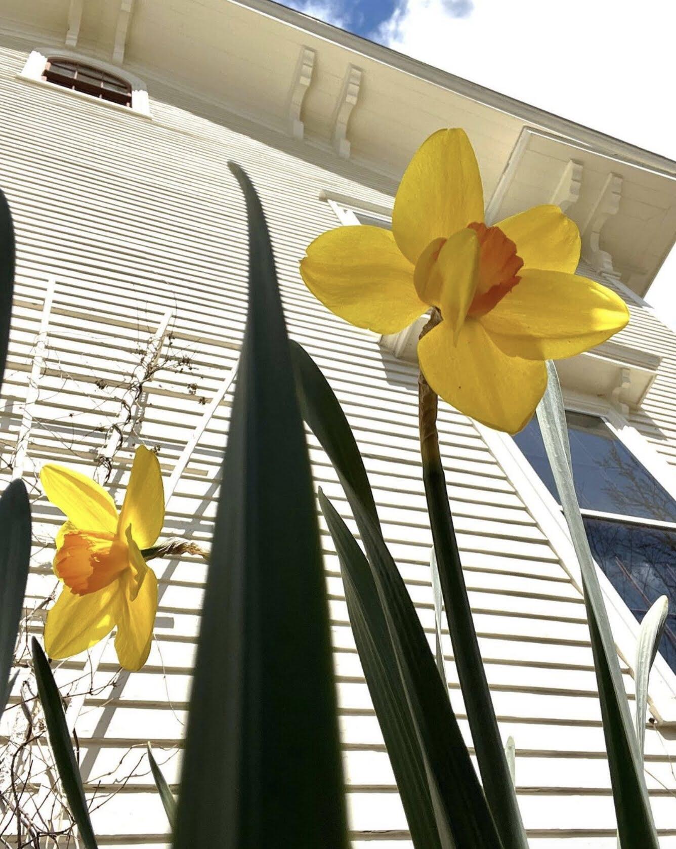 10 Church Street Stockton Springs, ME 04981 - Photo 45 of 53 Screenshot 2023-06-25 at 11.36.10 AM