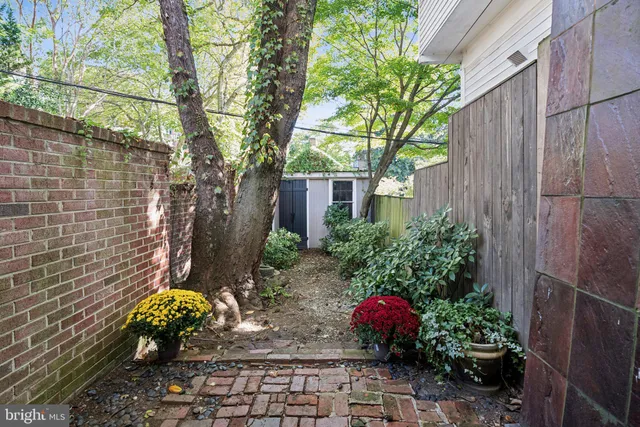 a garden with a table and chair and potted plants