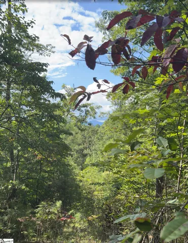 $1,200,000 | 3 Lakeside Drive, Six Mile, SC 29682