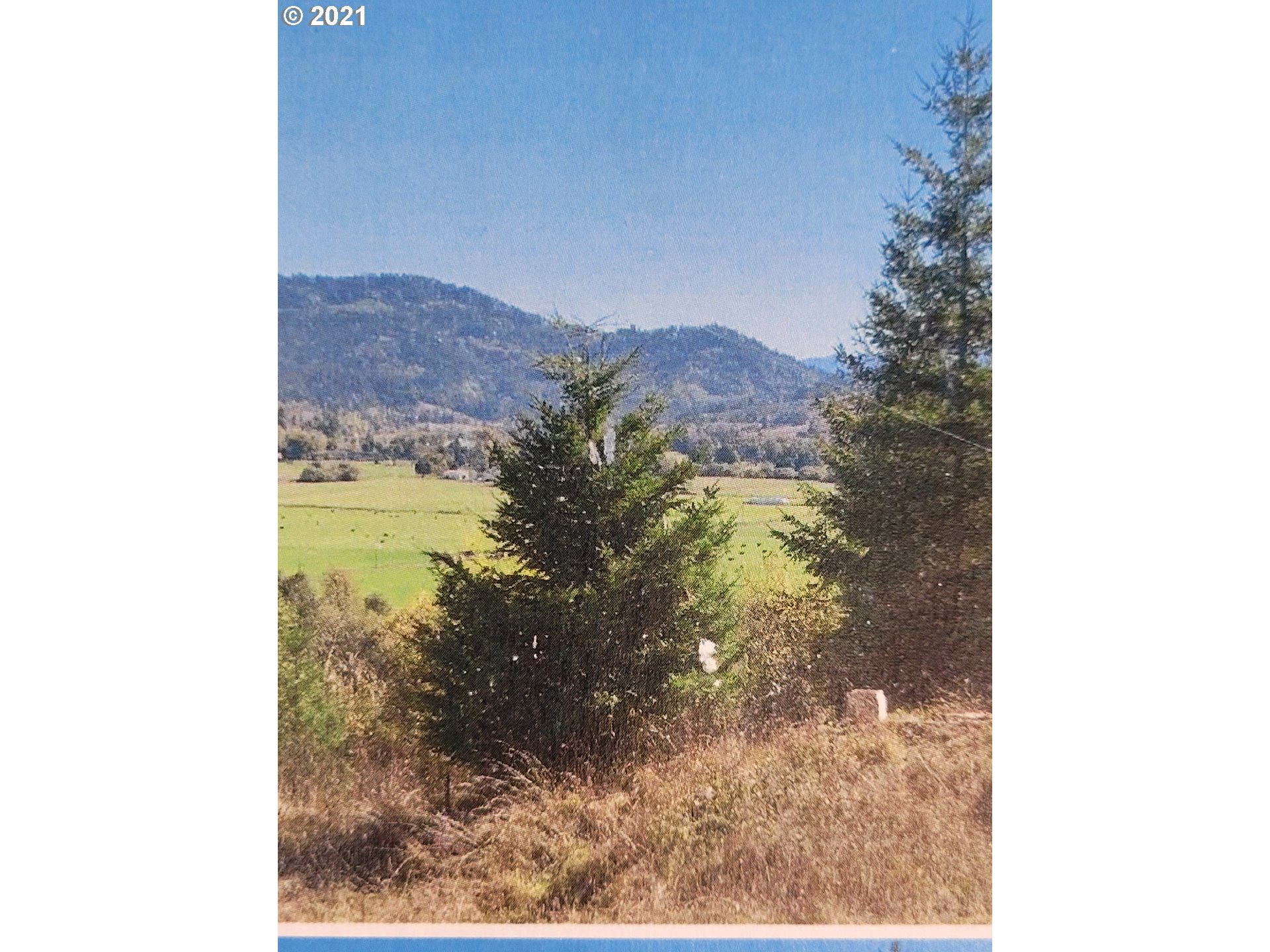 51620 Old Broadbent Road Myrtle Point, OR 97458 - Photo 1 of 3 Gallery Image 1