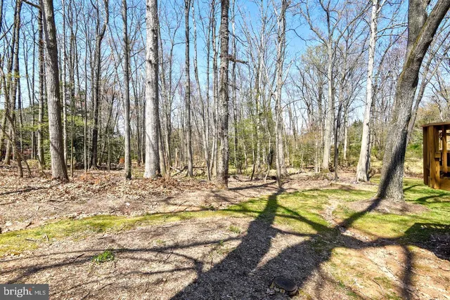 $6,500 | 980 Old Holly Drive, Great Falls, VA 22066