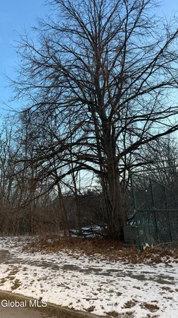 $260,000 | 575 Lark Drive, Albany, NY 12210