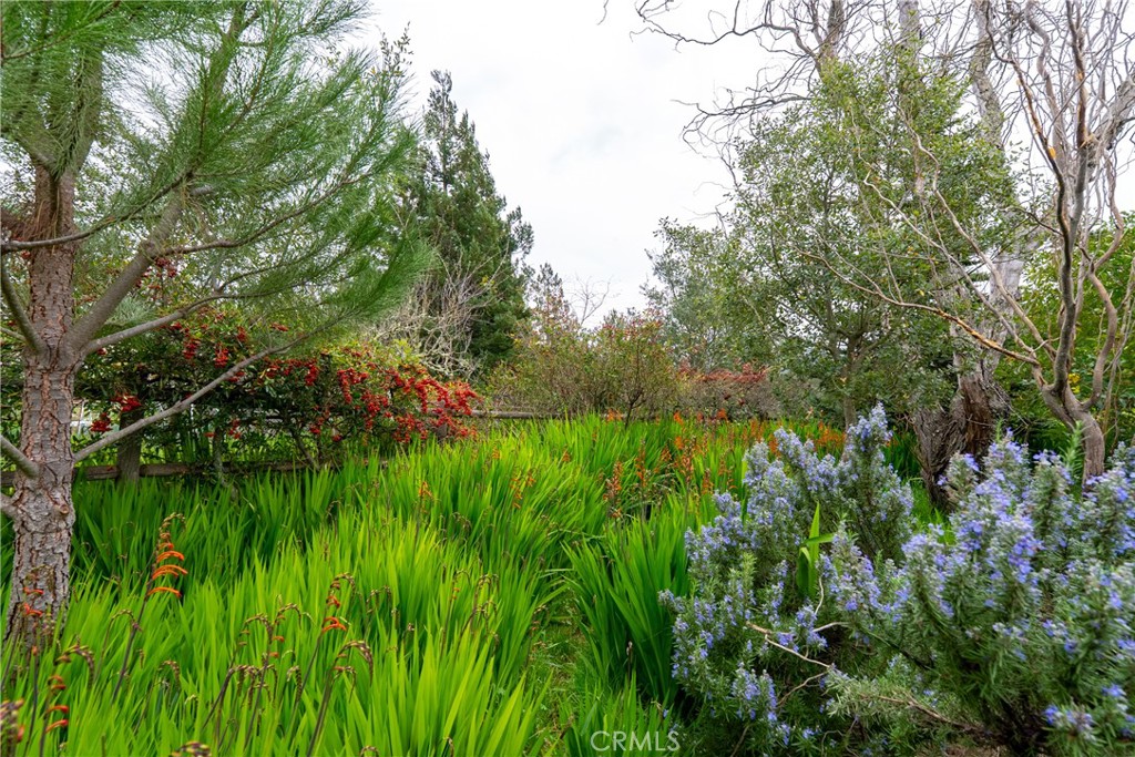 10665 San Marcos Road Atascadero, CA 93422 - Photo 51 of 63