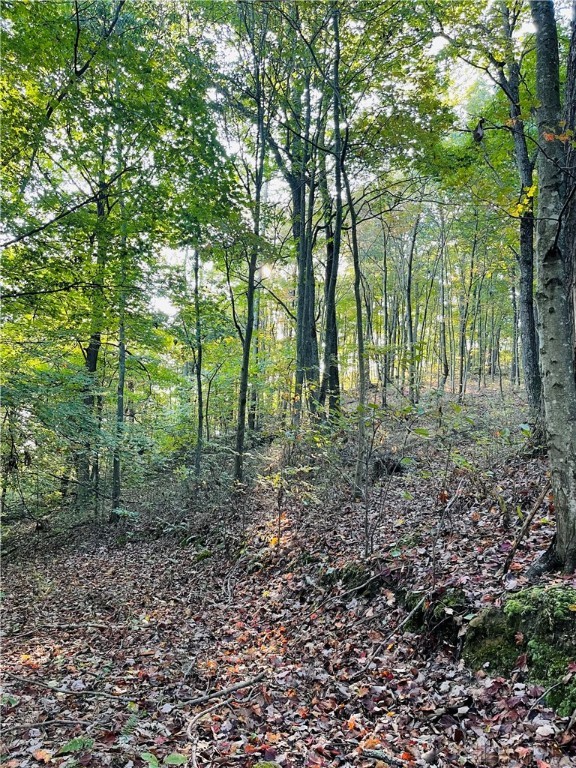 0 State Road McArthur, OH 45651 - Photo 7 of 7