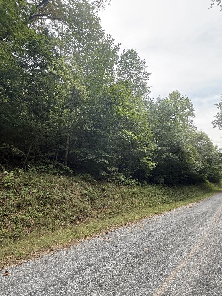 0 Henson Road Hayesville, NC 28904 - Photo 5 of 28 Gallery Image 5