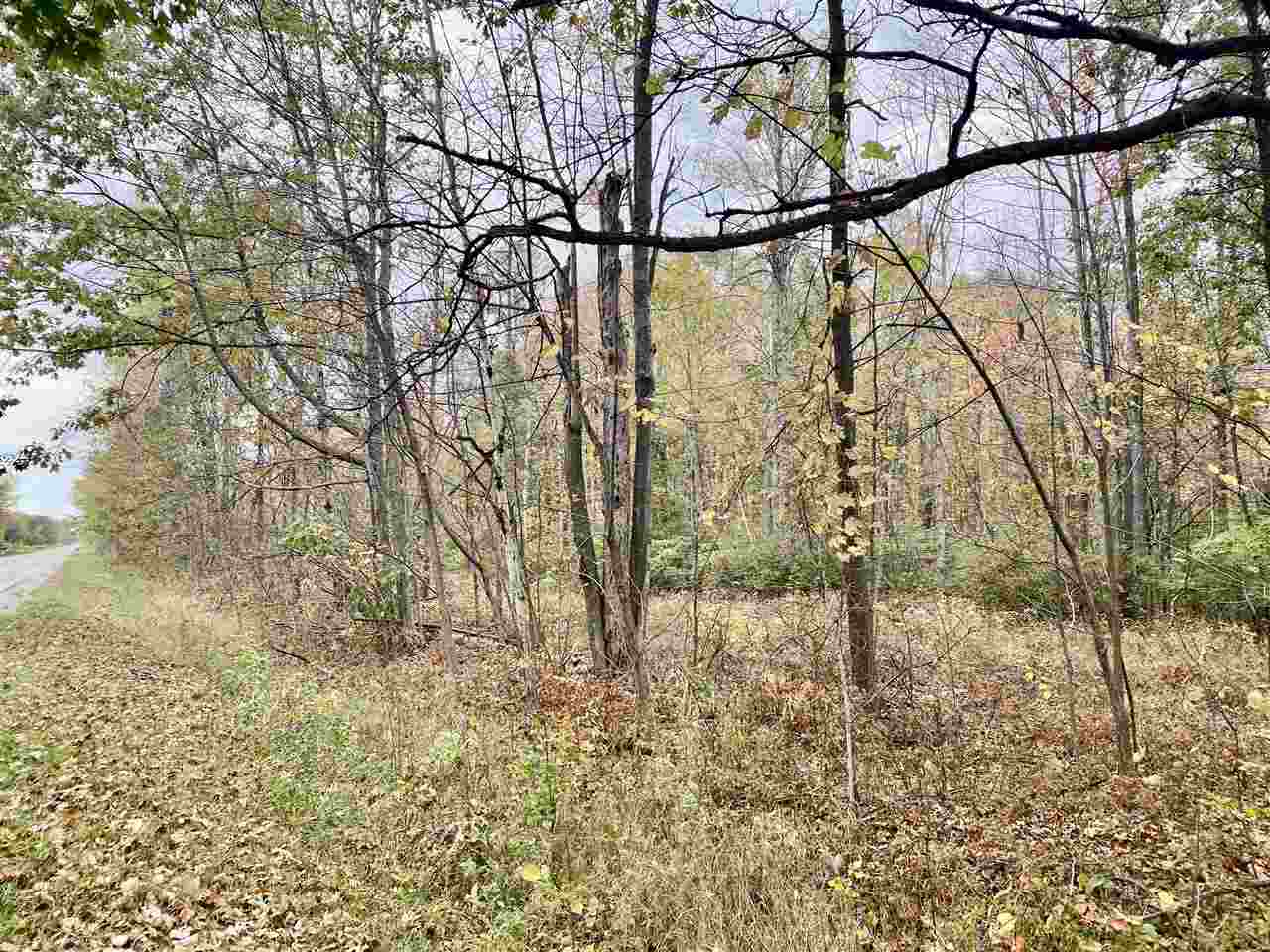 0 West Erickson Road Linwood, MI 48634 - Photo 2 of 13