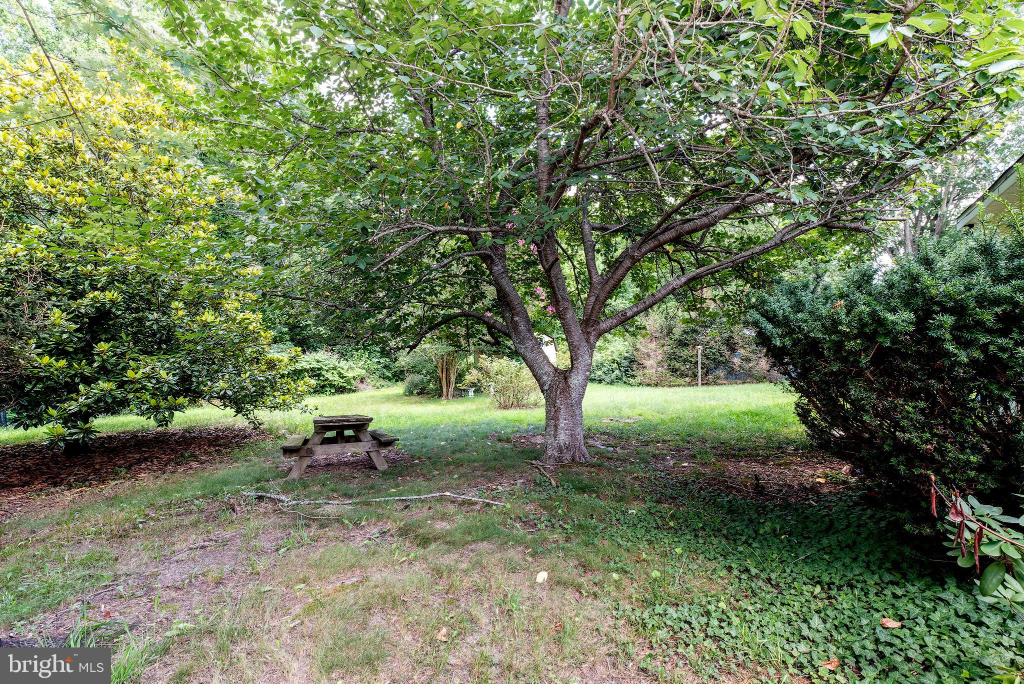 9516 Highland Street Mauricetown, NJ 08329 - Photo 47 of 53 a view of a yard with large trees