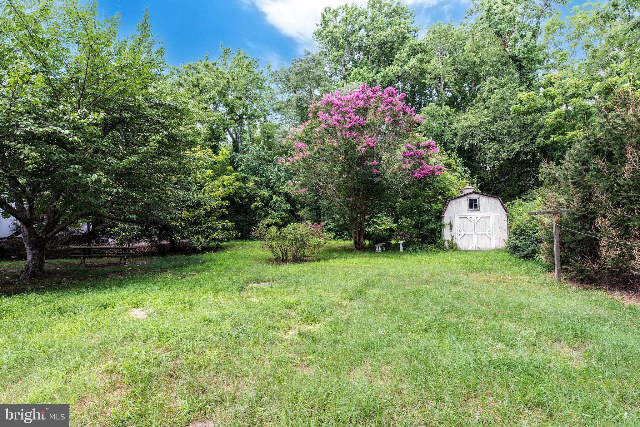 9516 Highland Street Mauricetown, NJ 08329 - Photo 50 of 53 a front view of a house with a yard and tree
