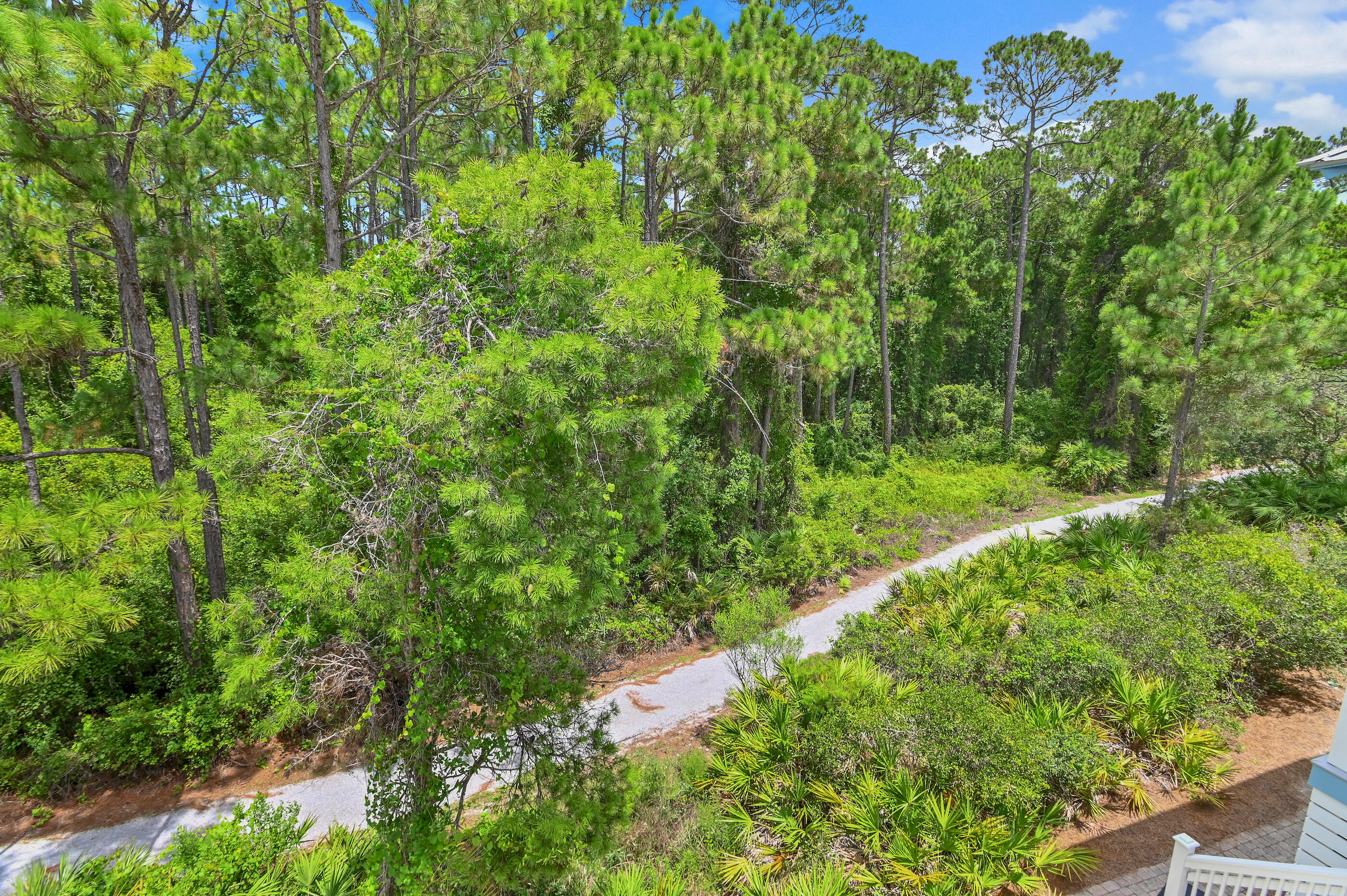 228 Beach Bike Way Inlet Beach, FL 32461 - Photo 18 of 50 228 Beach Bike Way