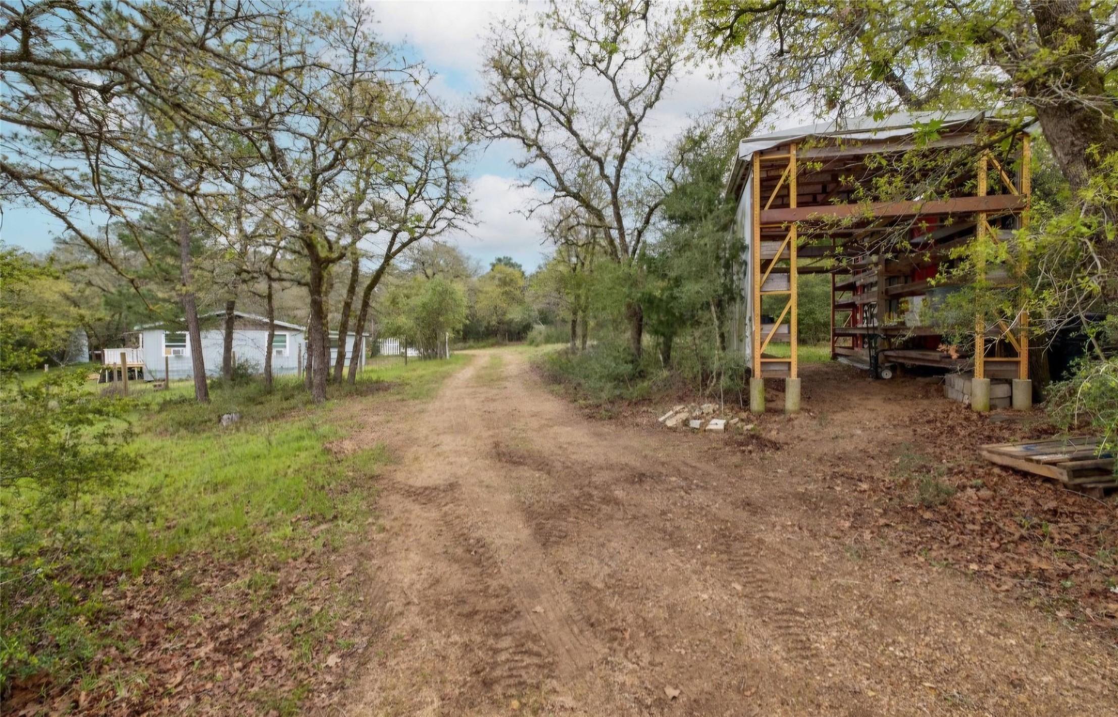 114 Fealy Road Red Rock, TX 78662 - Photo 17 of 22