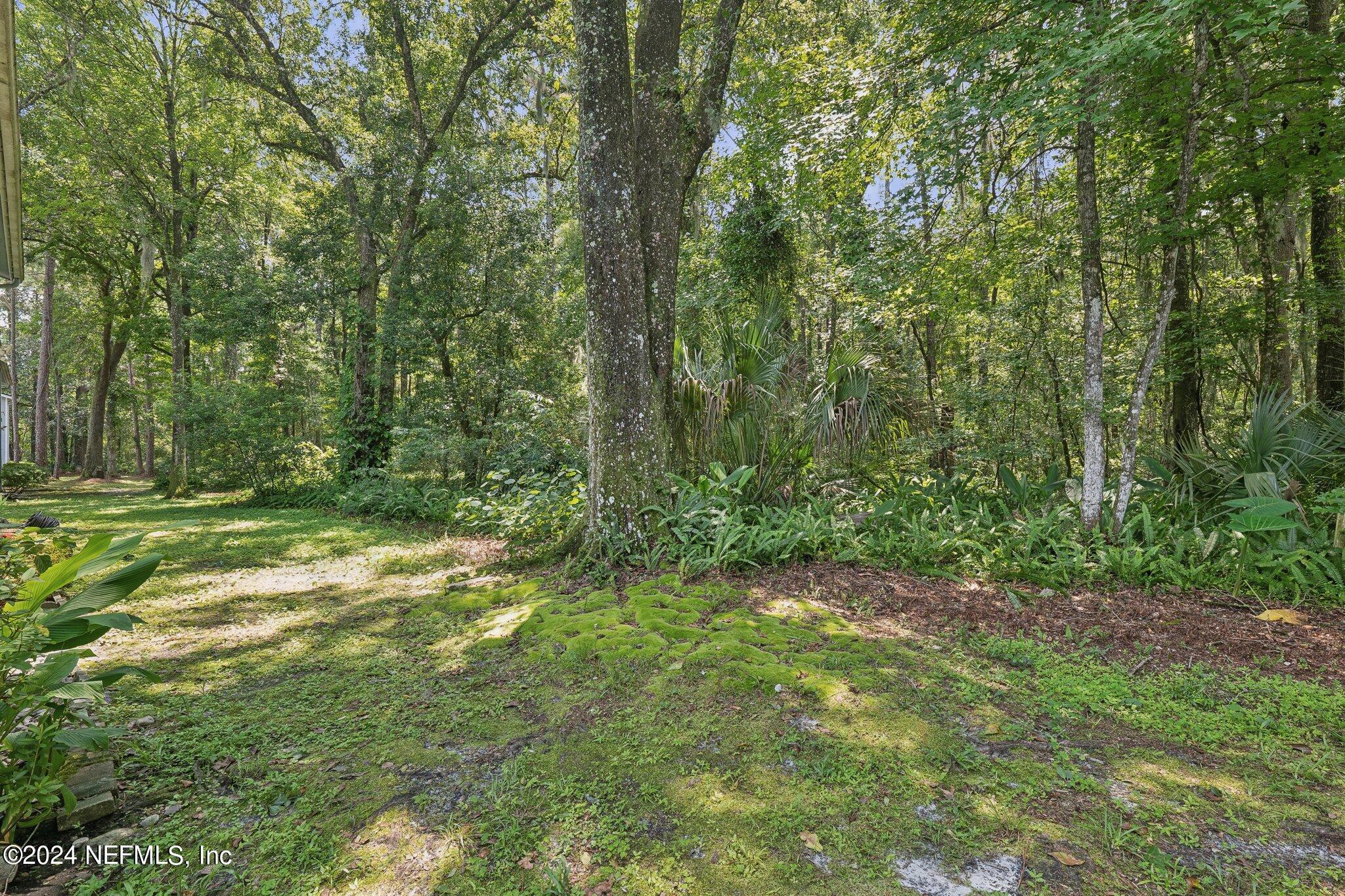 3270 Ricky Drive, Unit 1403 Jacksonville, FL 32223 - Photo 28 of 33 Peaceful views