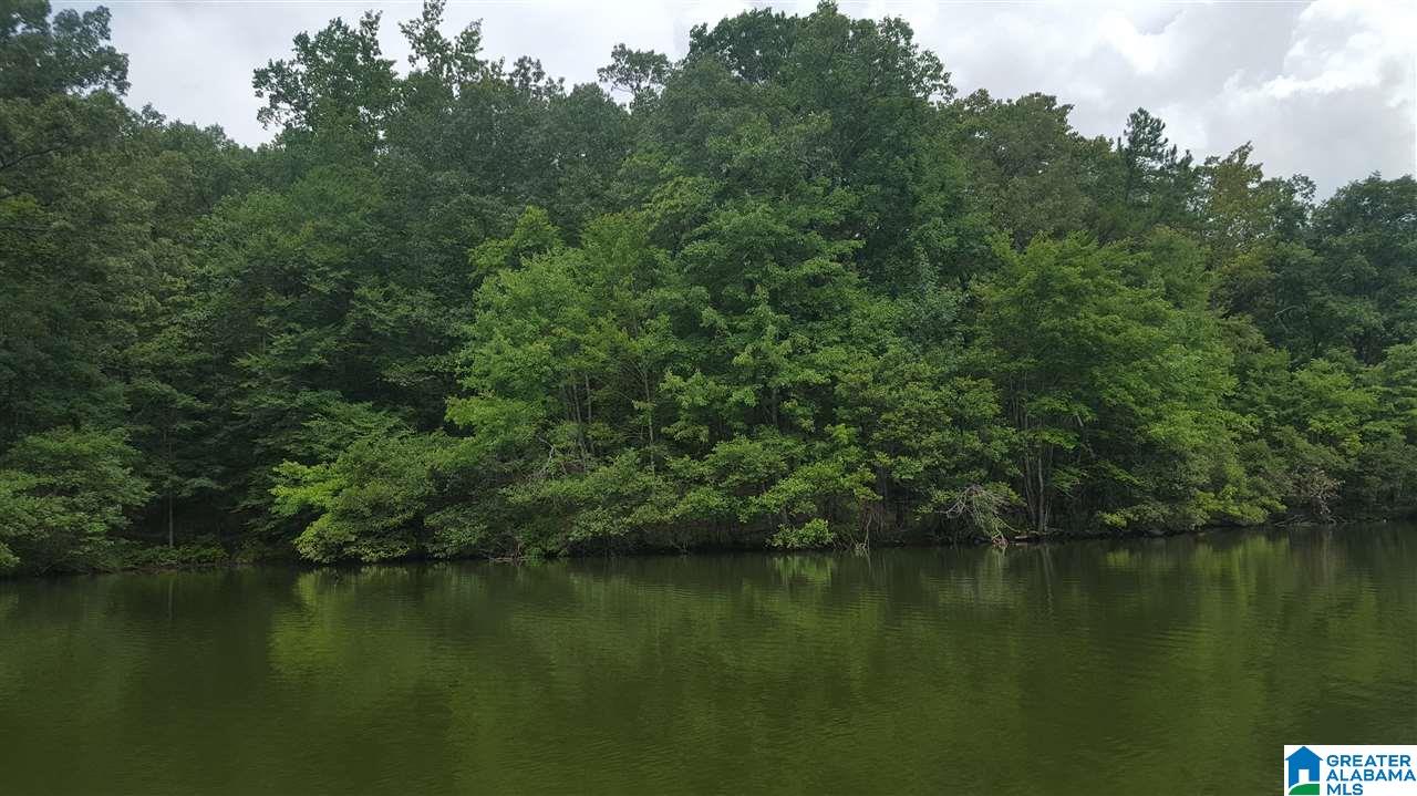 11-acres Deer Run Road, Unit 148330000001 010 Alabaster, AL 35007 - Photo 33 of 34