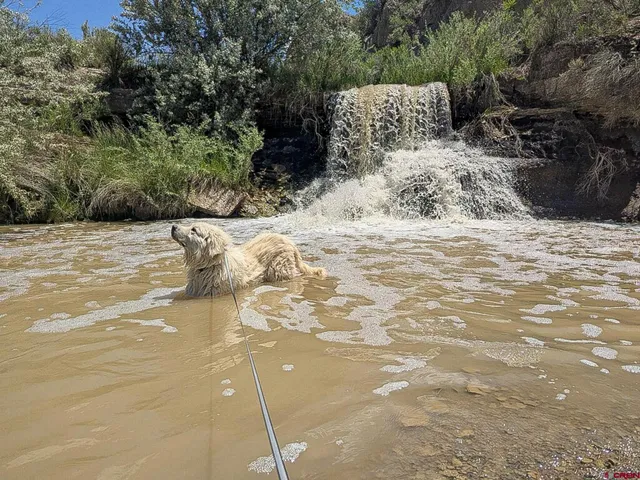 $899,000 | 25745 Road H Cortez Co 81321, Cortez, CO 81321