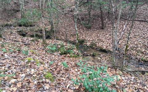 116-ac Loving Road Morganton, GA 30560 - Photo 3 of 4 Additional View