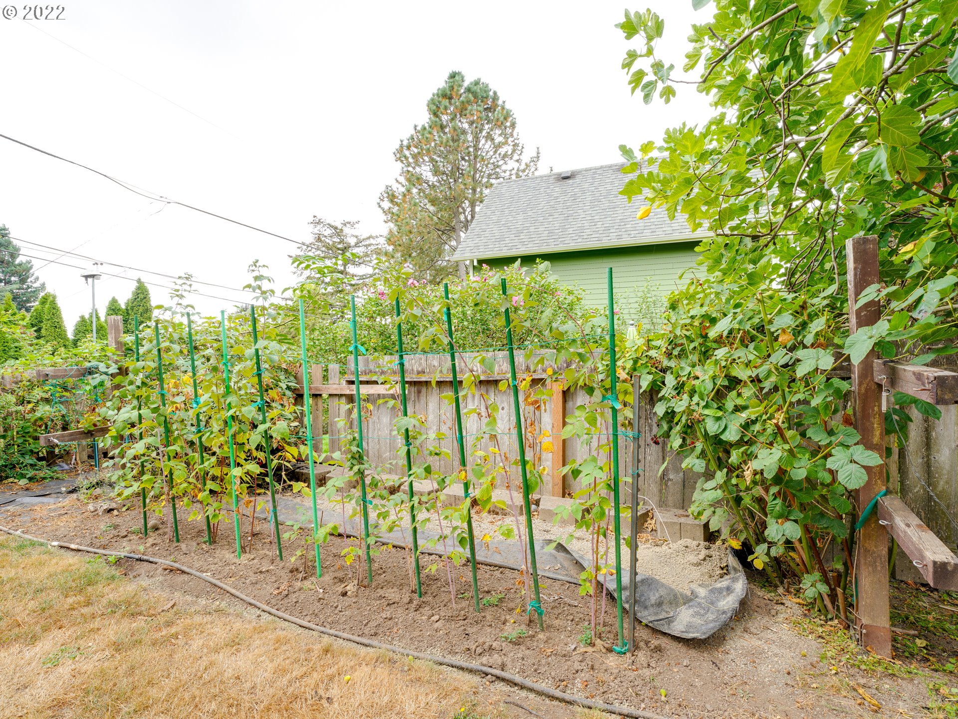 4216 Southwest Pendleton Street Portland, OR 97221 - Photo 27 of 31 Gallery Image 27