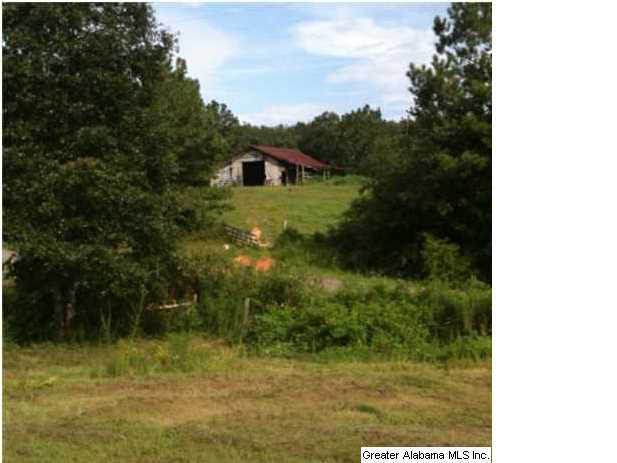 2761 Dry Creek Road Cropwell, AL 35054 - Photo 16 of 21