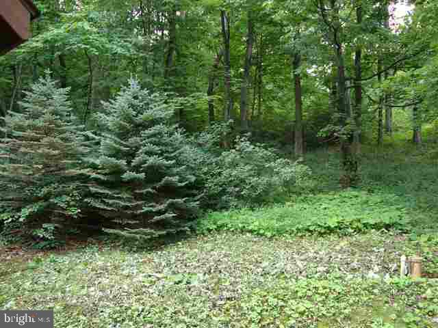 820 Lower Buck Ridge Road Blain, PA 17006 - Photo 8 of 12 Gallery Image 8