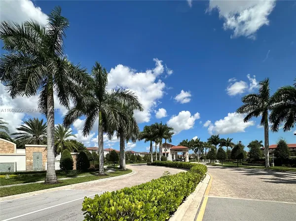 a view of a yard and cars park