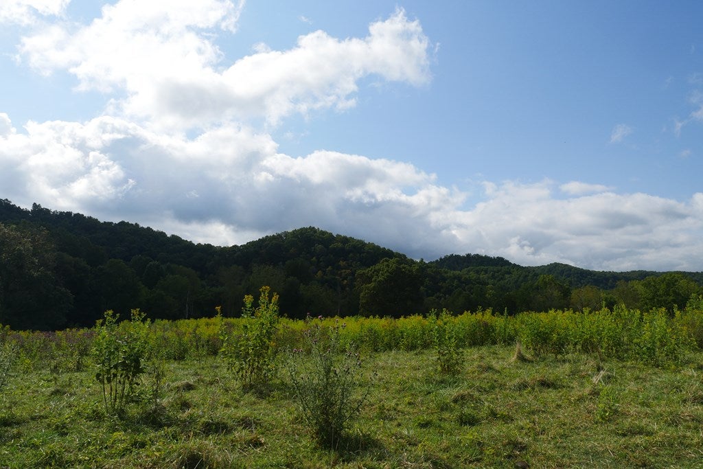 Tbd South Fork River Road Glade Spring, VA 24340 - Photo 16 of 25 Gallery Image 16