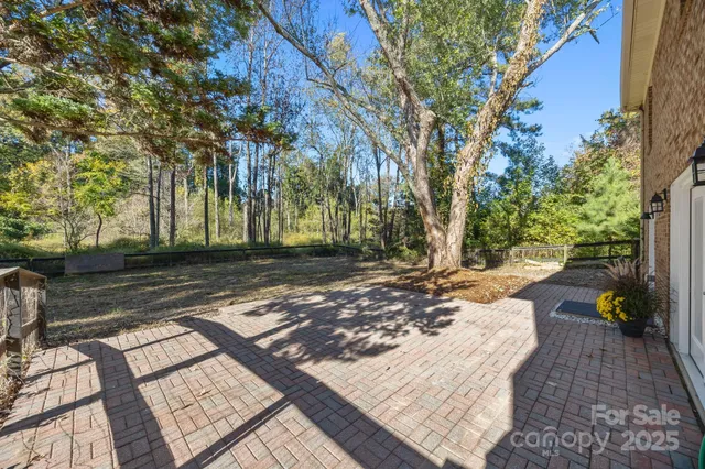 a view of a yard with plants and trees