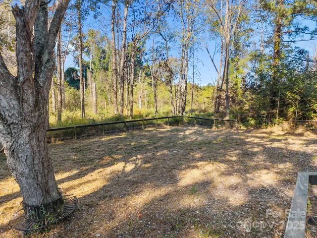 a view of a yard with large trees