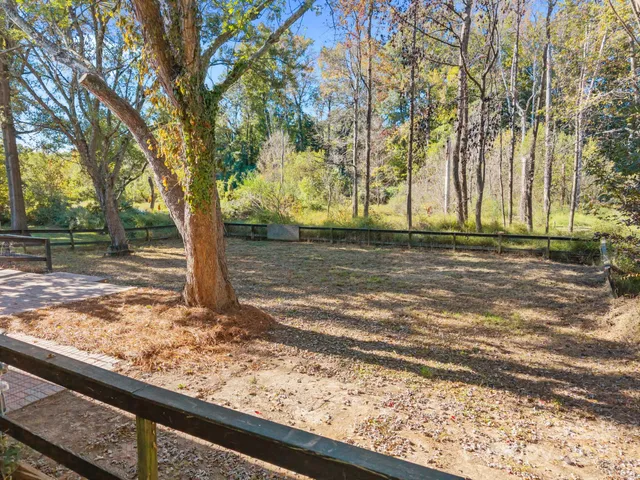 a view of a yard with a tree