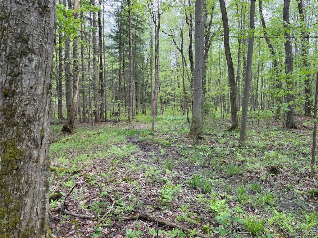 Slew Road South Dayton, NY 14138 - Photo 6 of 13