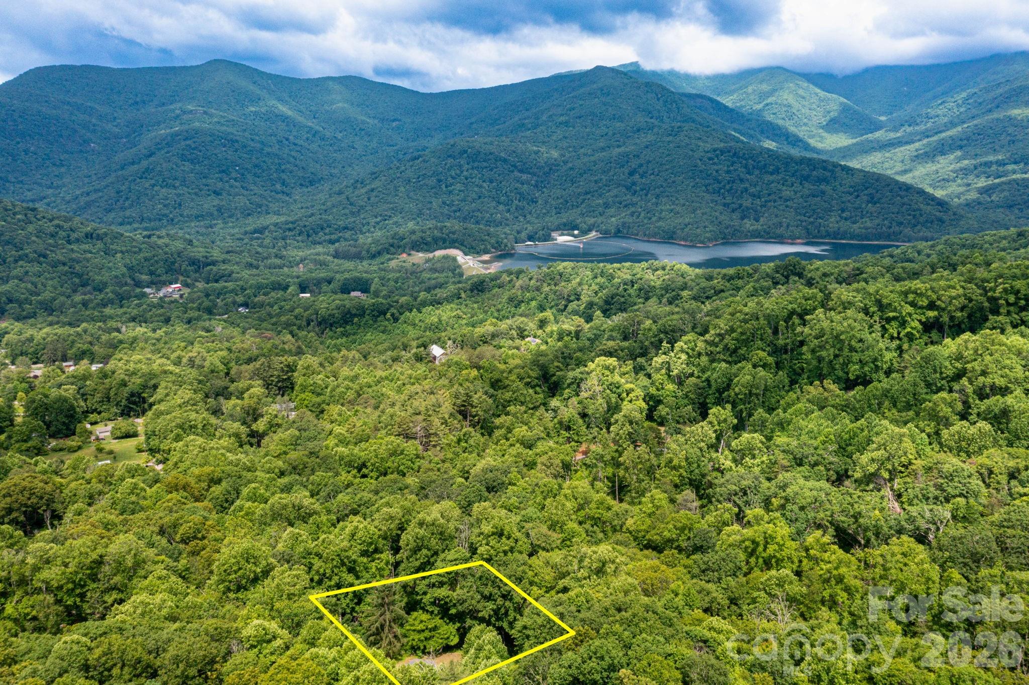 191 Walkertown Road Black Mountain, NC 28711 - Photo 4 of 9