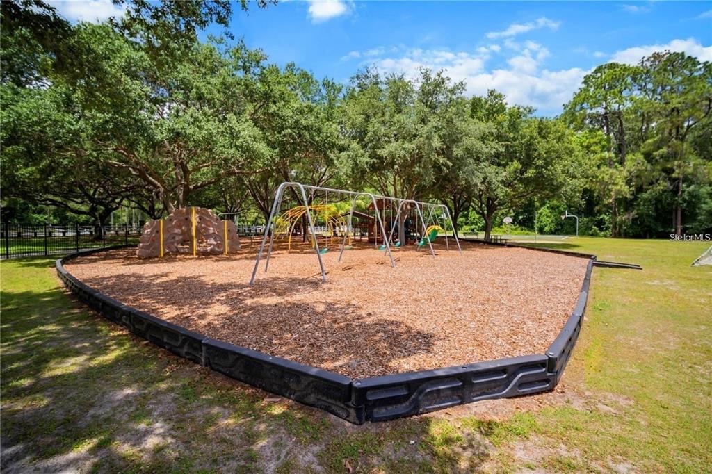 4021 Lithia Ridge Boulevard Valrico, FL 33596 - Photo 47 of 48