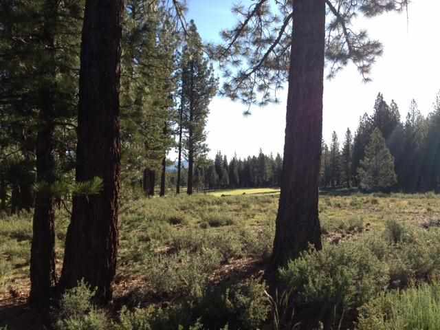 11446 Henness Road Truckee, CA 96161 - Photo 2 of 2 Gallery Image 2