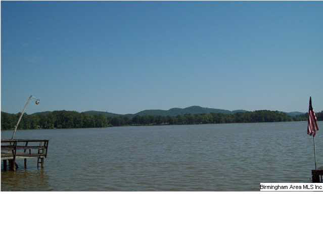 35 County Road 714 Cedar Bluff, AL 35959 - Photo 5 of 6