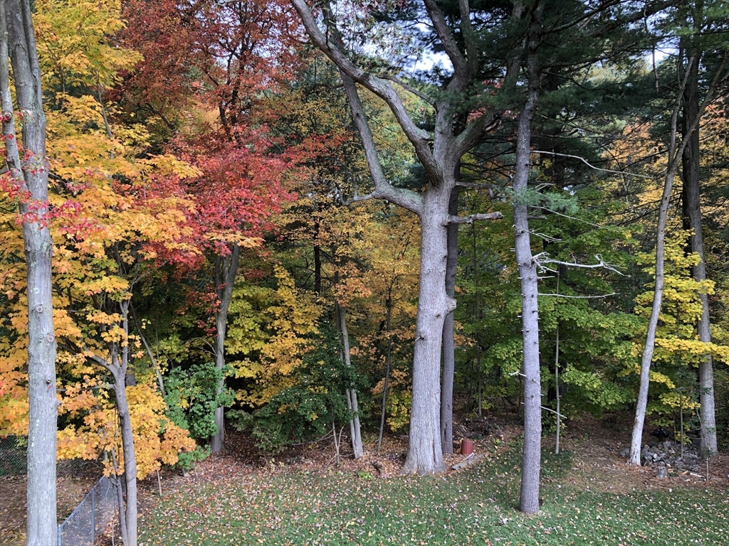 40 Audrea Road Framingham, MA 01701 - Photo 35 of 36