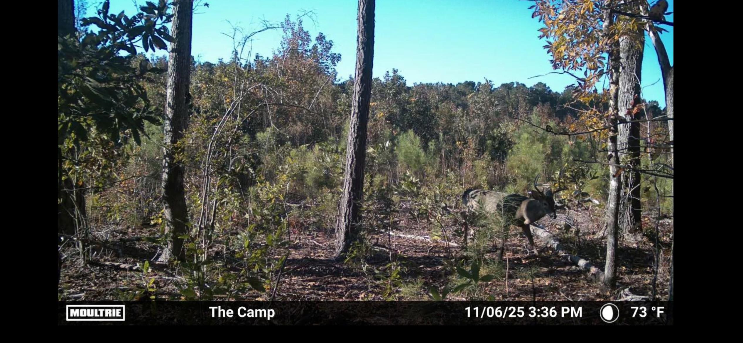 Tbd Tbd Chair Road Hemingway, SC 29554 - Photo 3 of 37