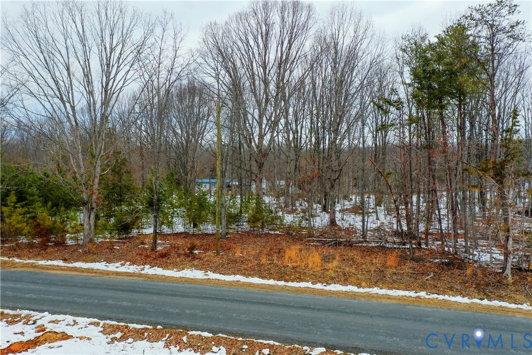 4890 Harris Creek Road Prospect, VA 23960 - Photo 19 of 22 a view of a yard with large trees