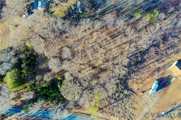 a view of a yard with plants