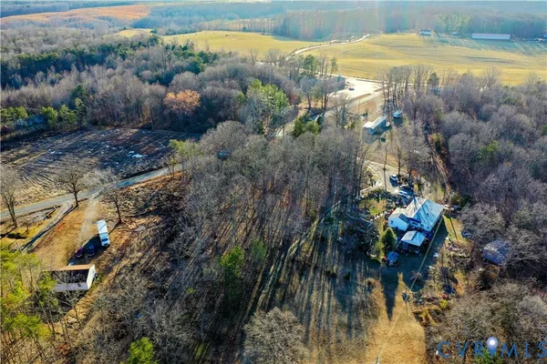 a view of garden with a tree