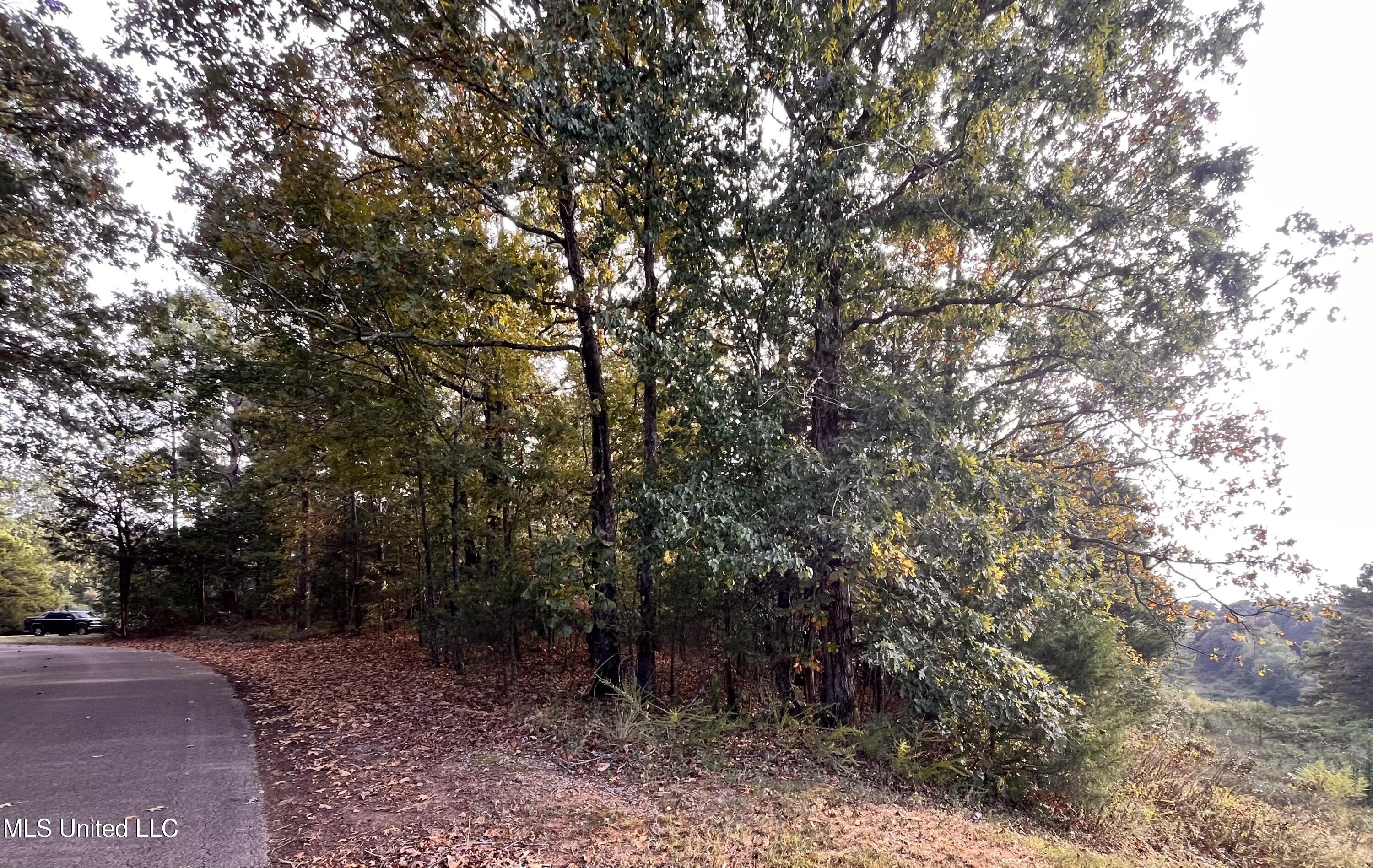 Hilltop property line