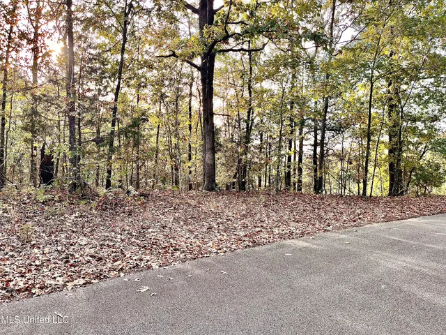 $20,000 | 0 Hill Top Road, Ashland, MS 38603