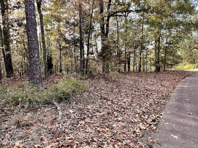 $20,000 | 0 Hill Top Road, Ashland, MS 38603