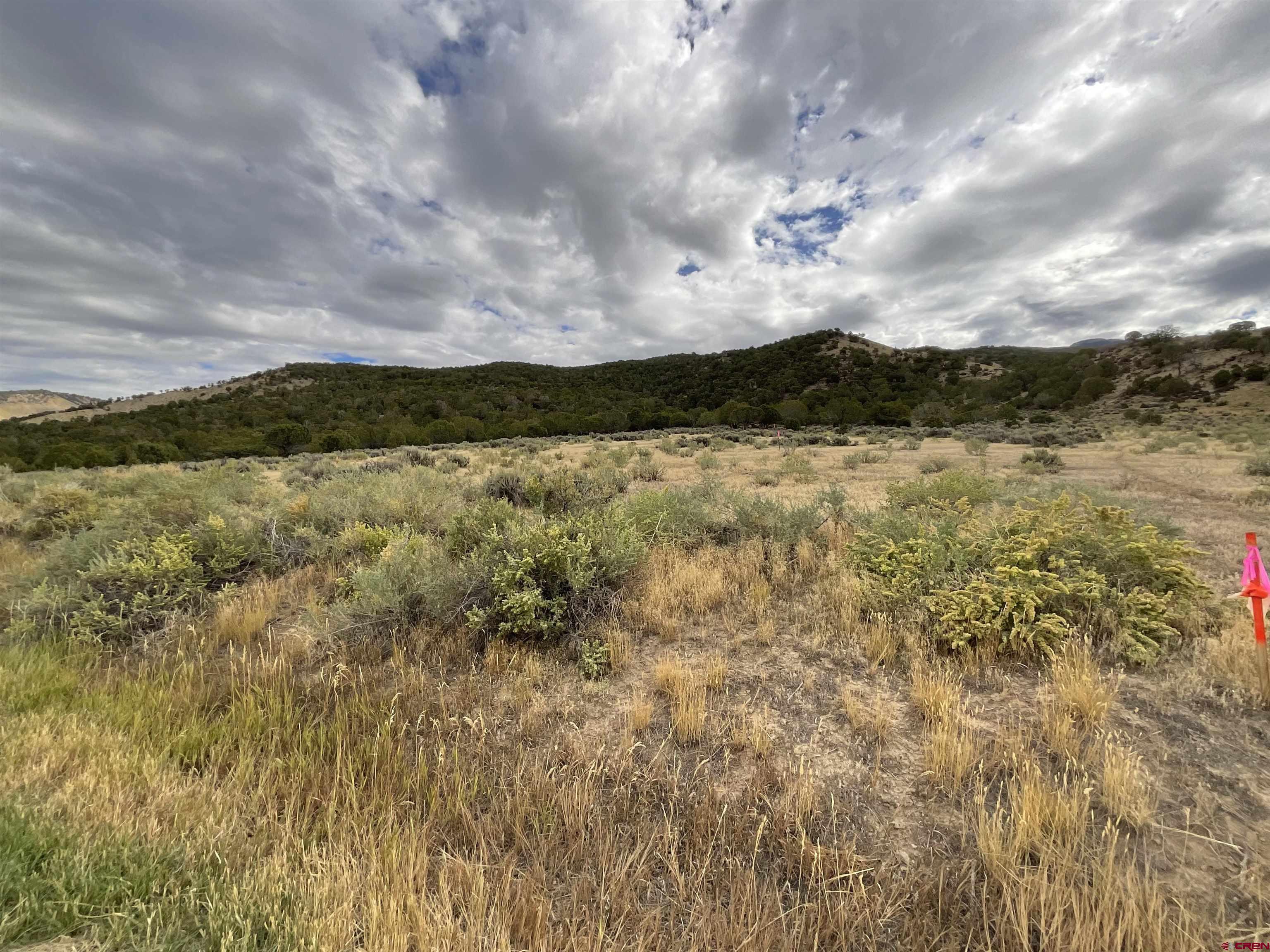 Tbd Lot 22 7250th Road Montrose, CO 81403 - Photo 12 of 25