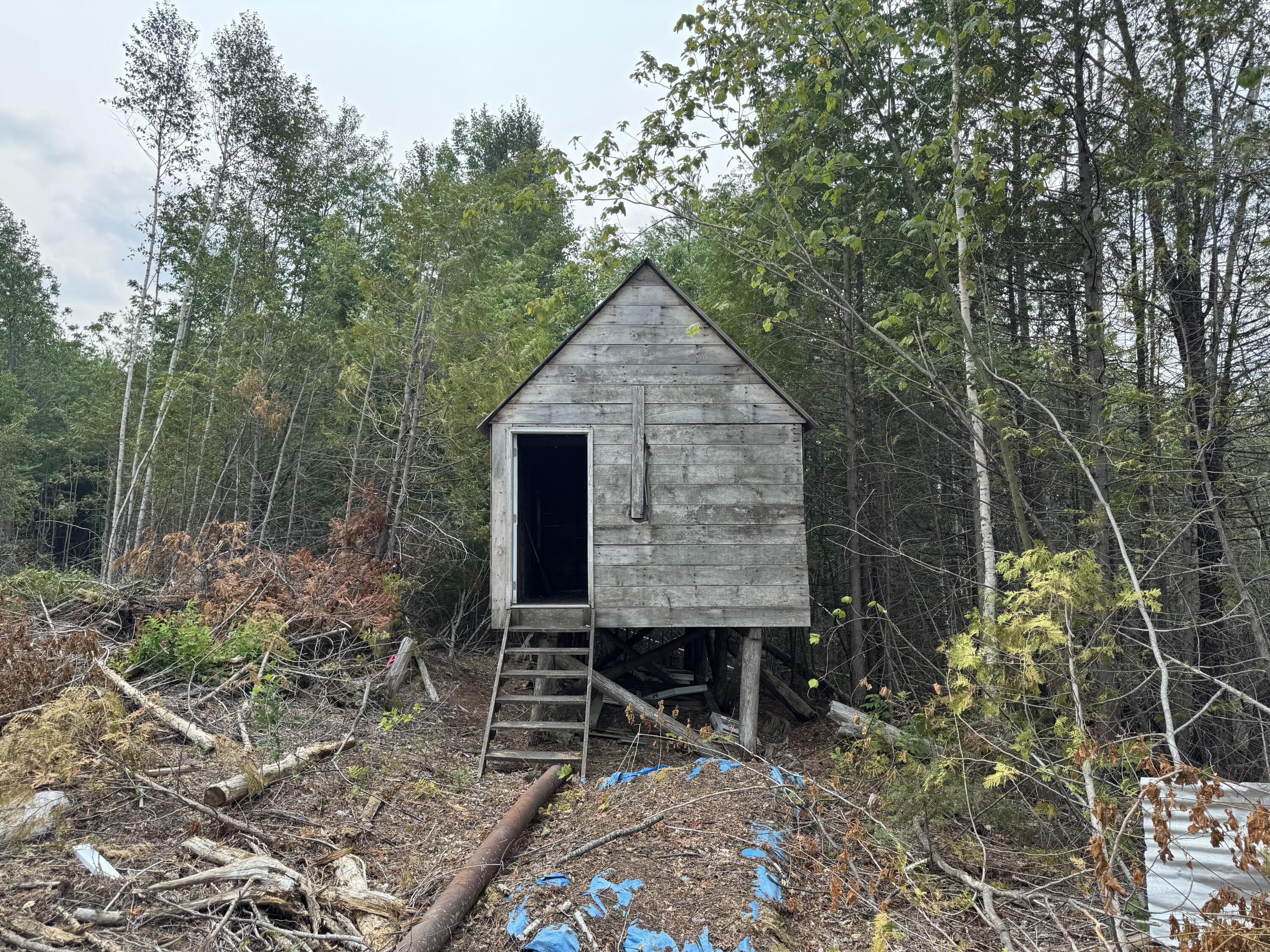 85 Cushman Ridge Road Springfield, ME 04487 - Photo 20 of 35 IMG_6194