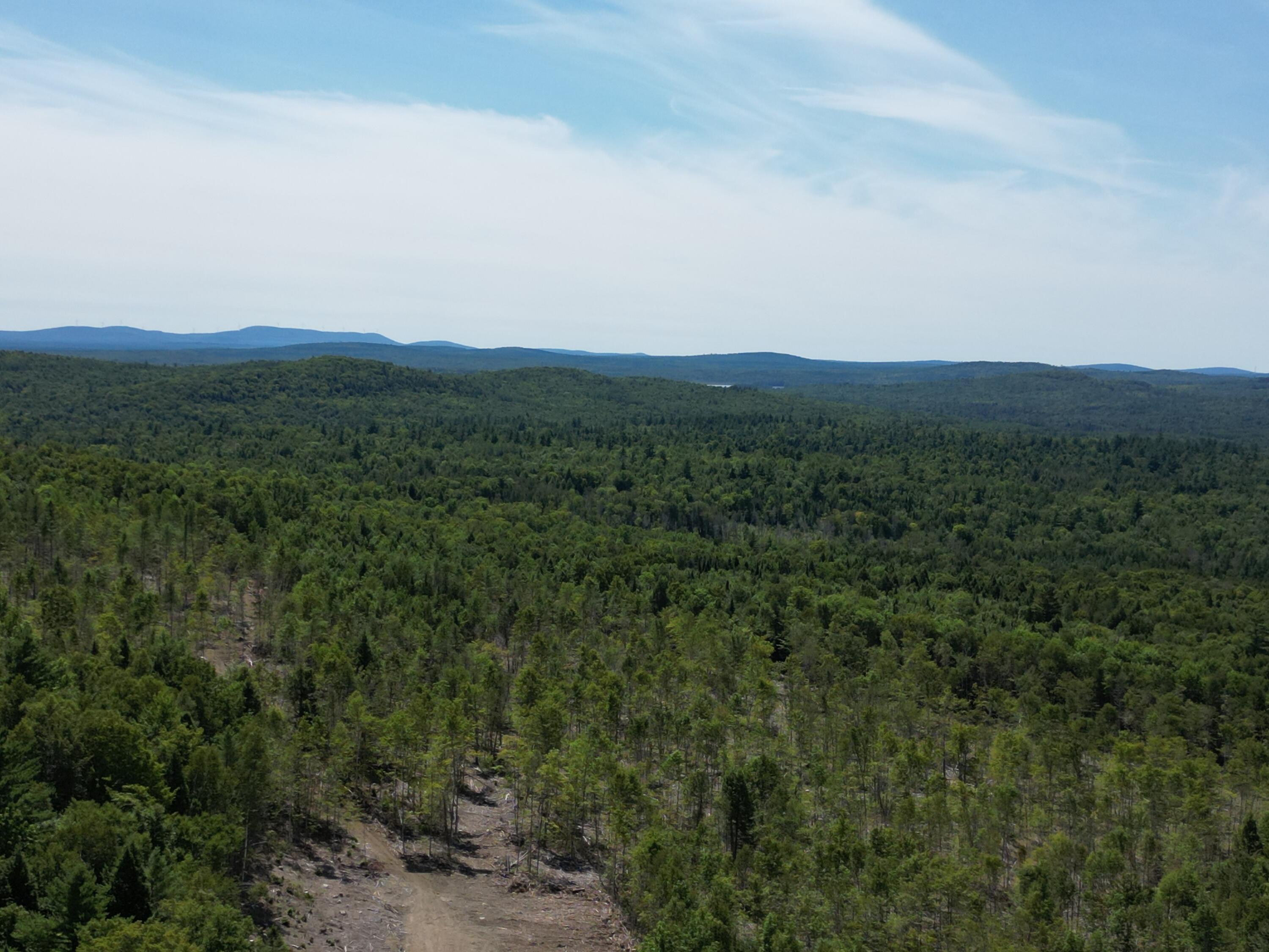 85 Cushman Ridge Road Springfield, ME 04487 - Photo 24 of 35 DJI_0266