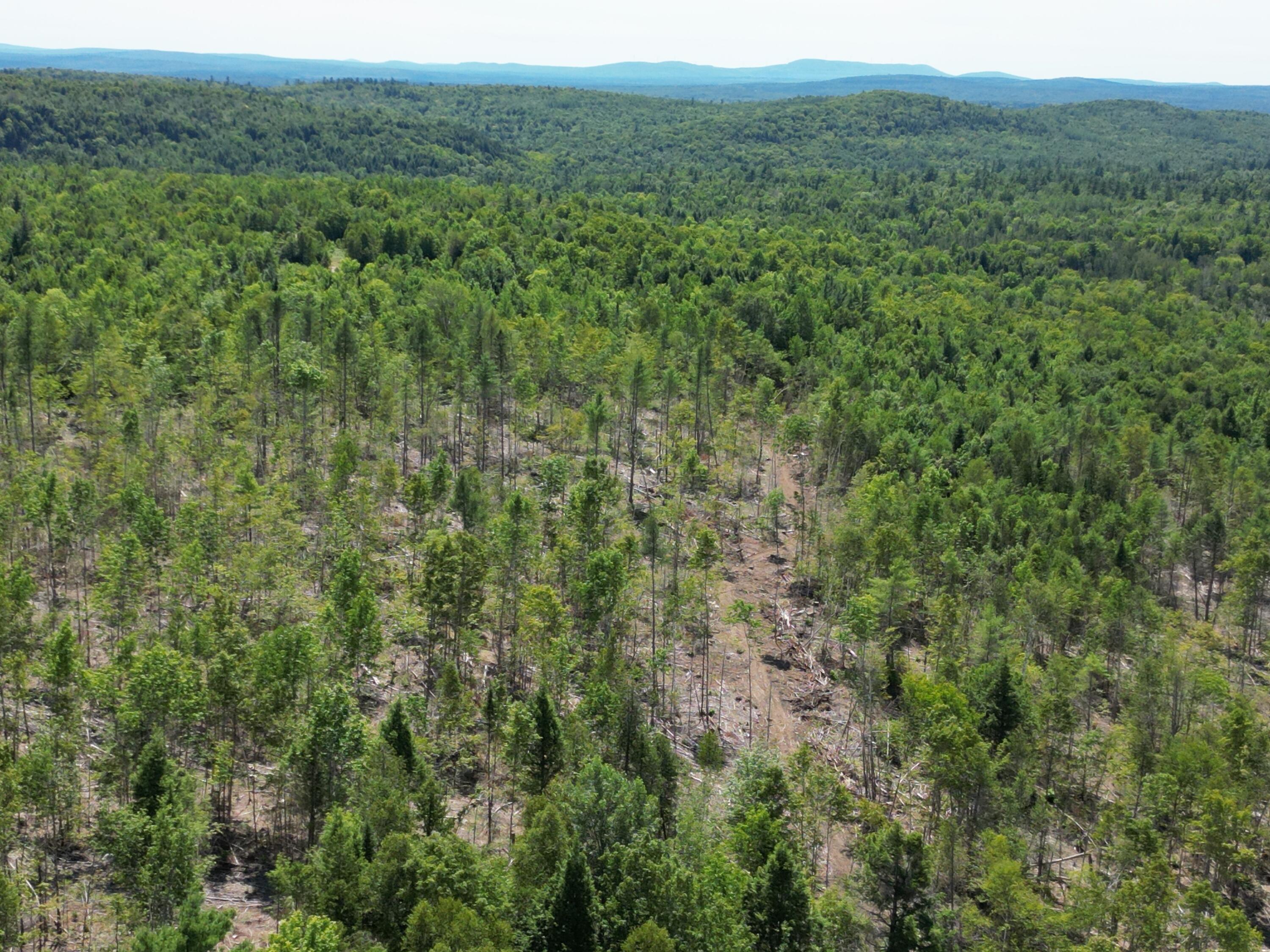 85 Cushman Ridge Road Springfield, ME 04487 - Photo 26 of 35 DJI_0268