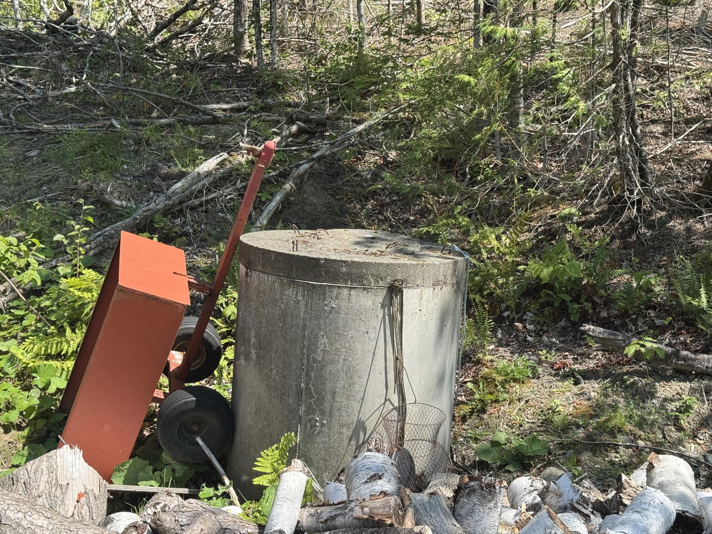 85 Cushman Ridge Road Springfield, ME 04487 - Photo 10 of 35 IMG_6233