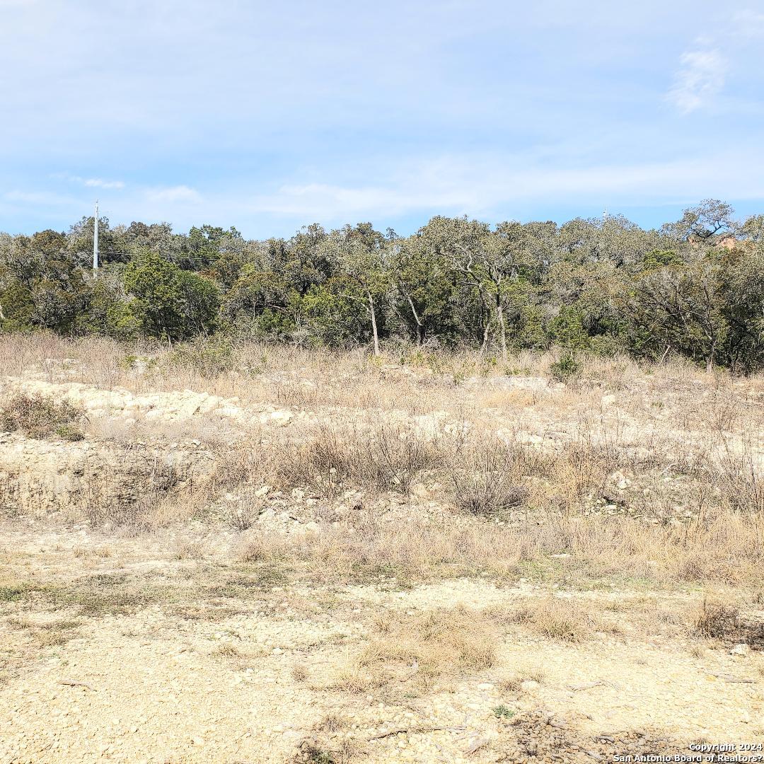 14465 Chinquapin Helotes, TX 78023 - Photo 11 of 13