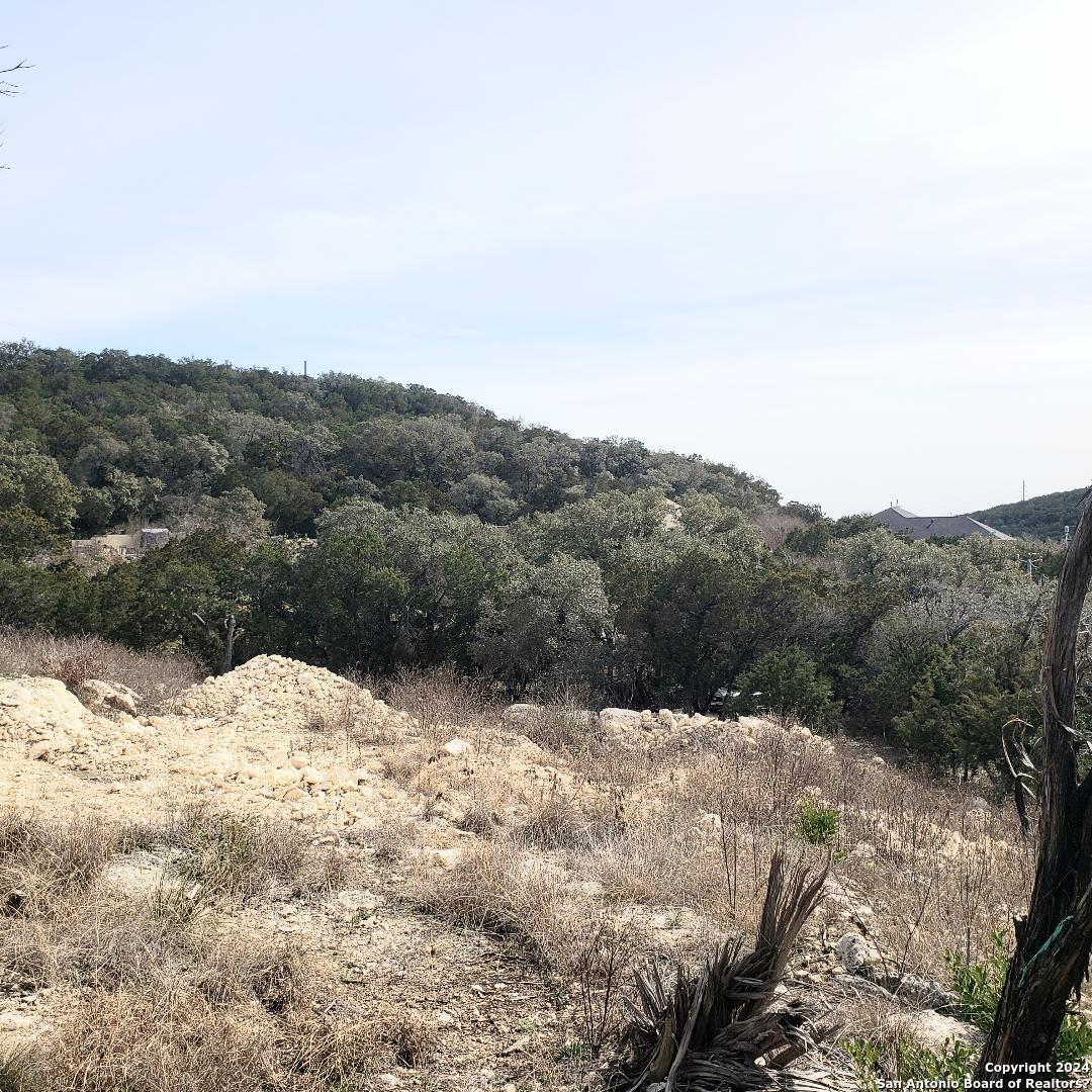 14465 Chinquapin Helotes, TX 78023 - Photo 12 of 13