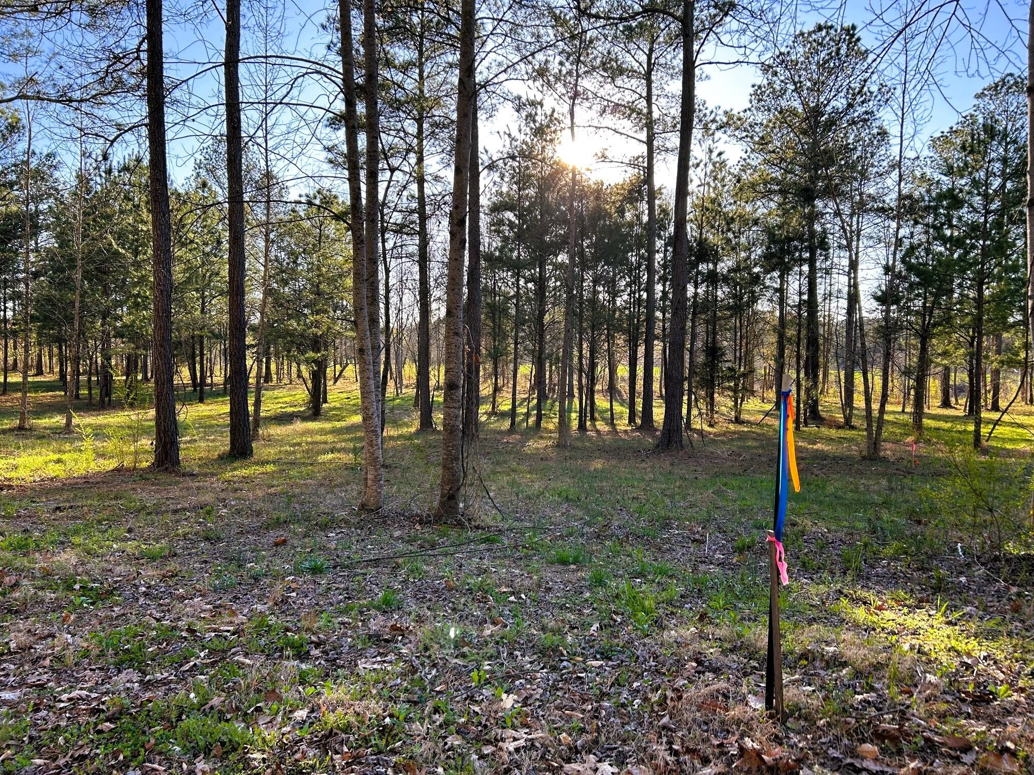 4 County Road 950 Charleston, TN 37310 - Photo 11 of 15