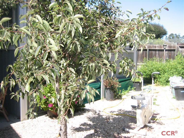 4750 South Blosser Road, Unit 318 Santa Maria, CA 93455 - Photo 5 of 17 a view of a backyard