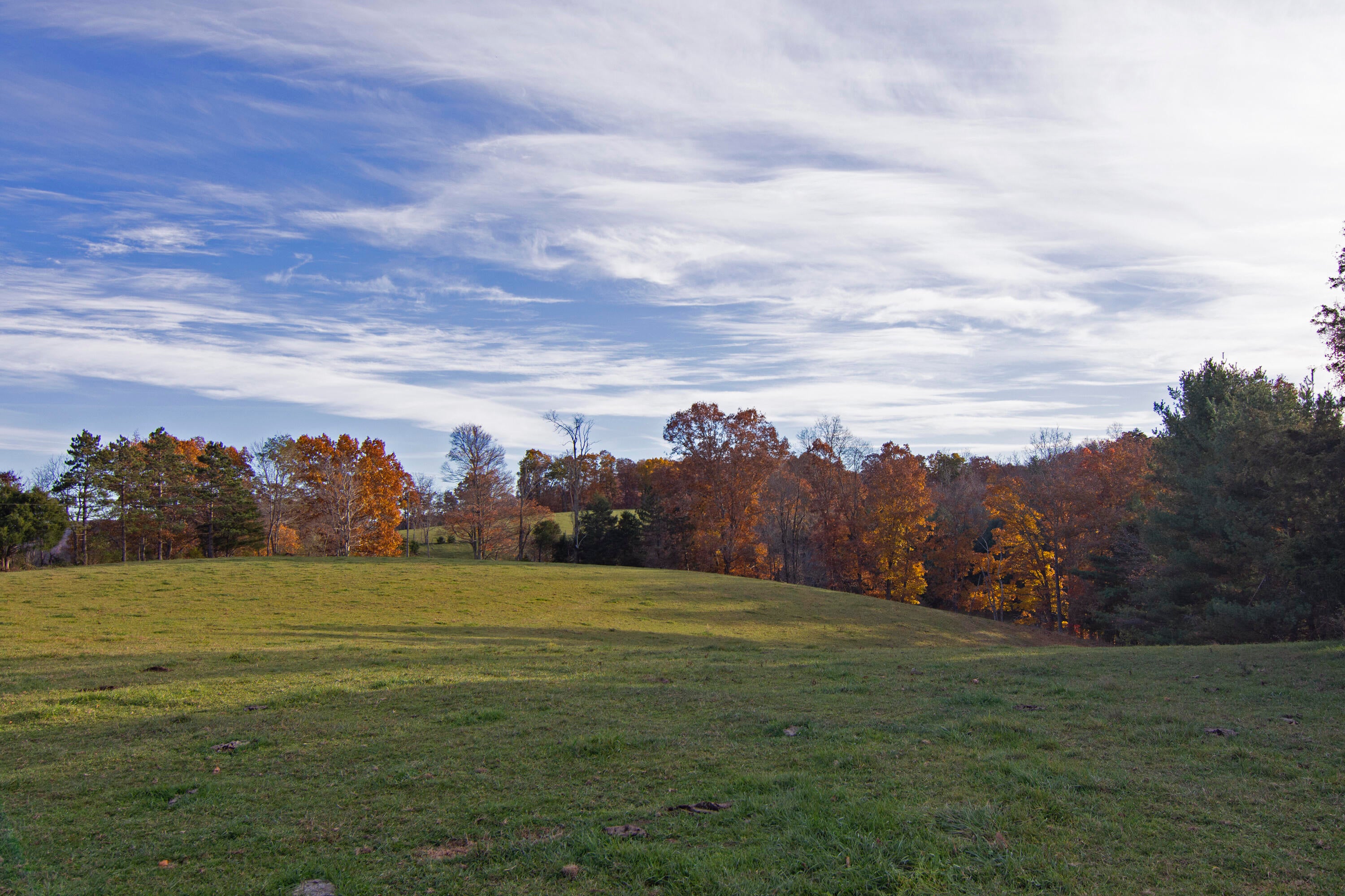 1528 Low Gap Church Road Hinton, WV 25951 - Photo 13 of 52 Gallery Image 13