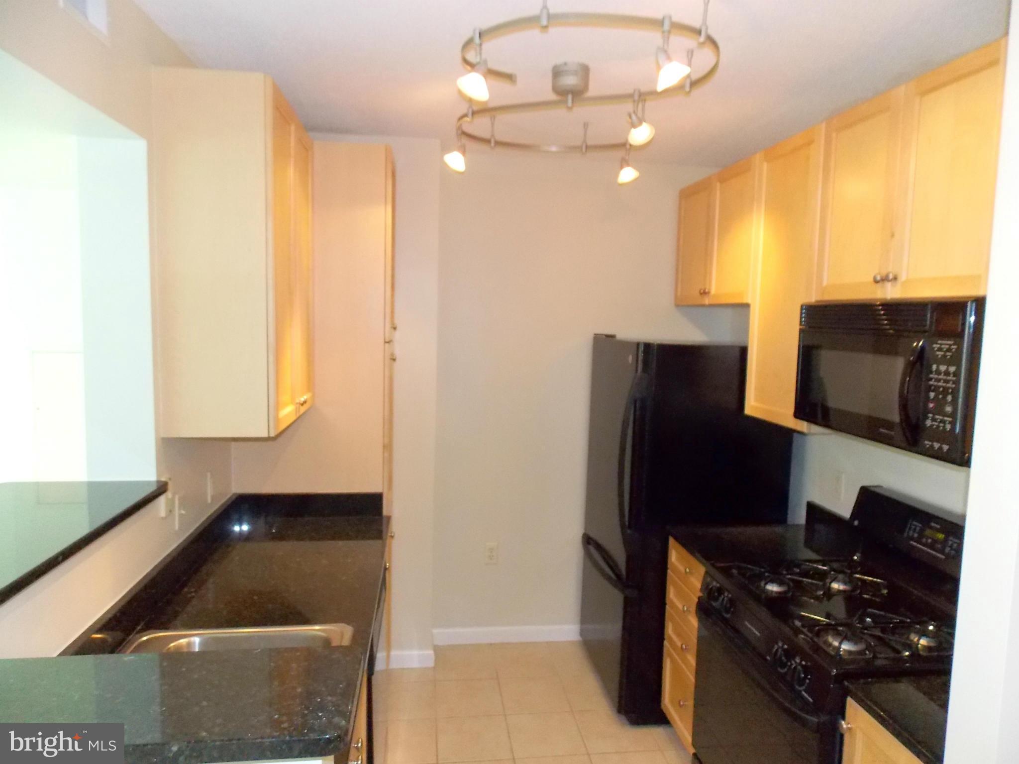 851 North Glebe Road, Unit 403 Arlington, VA 22203 - Photo 11 of 23 Kitchen